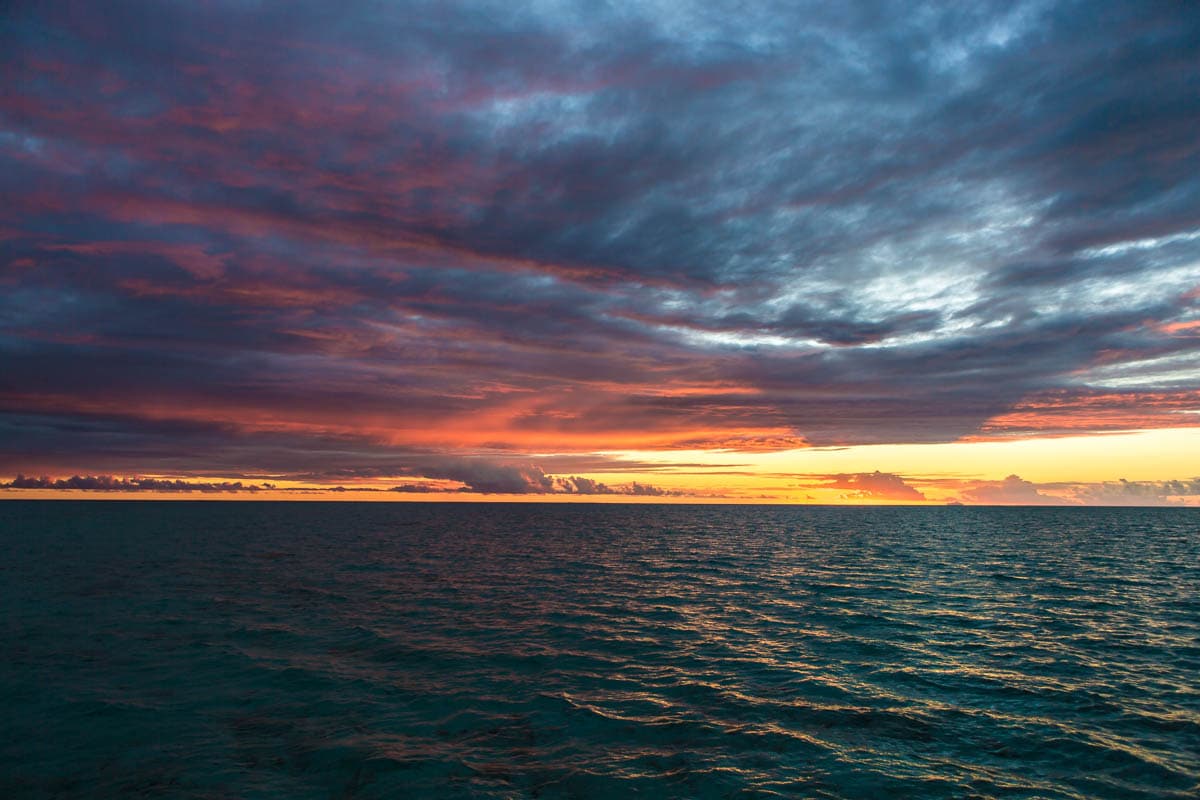 bora bora wedding photographer damien gobron