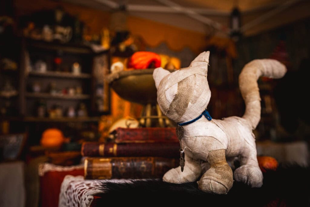 le stand de la sorcière vieille rachel à Villefranche-de-Conflent le jour de la fête des sorcières