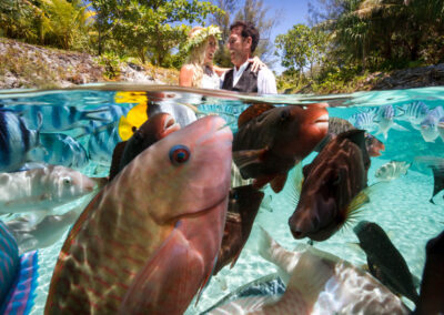 photo d'un couple de mariés dans l'eau avec des poissons