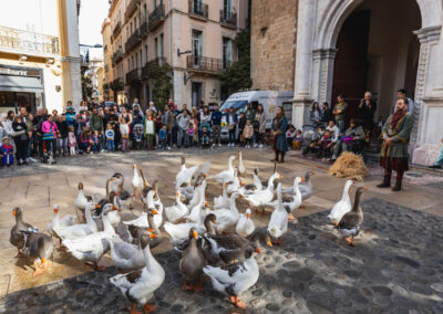 trobades médiévales perpignan - spectacle - les oies sacrées