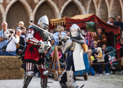 combat chevalier des chiens de saint-martin