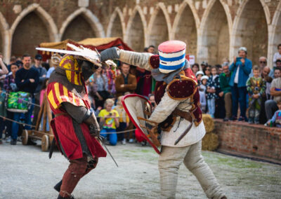 combat chevalier des chiens de saint-martin