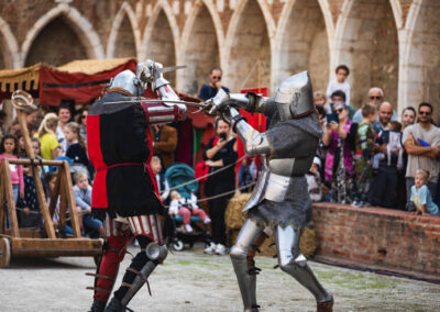 combat chevalier des chiens de saint-martin