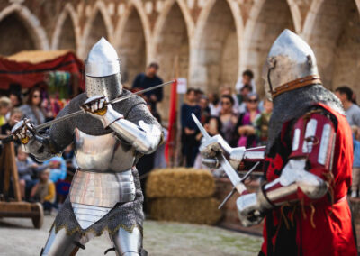 combat chevalier des chiens de saint-martin