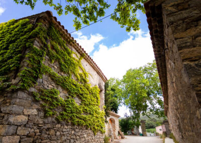 Photo du domaine Laurent Cassignol